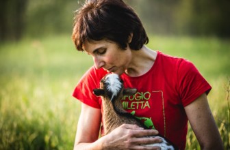 Rifugio Miletta, l’appello di aiuto per sostenere gli animali ospitati
